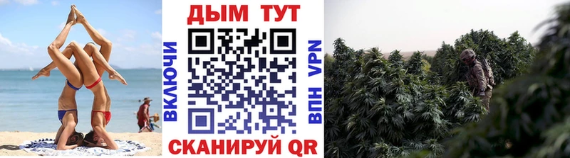 Где купить наркотики Вихоревка МАРИХУАНА  COCAIN  Псилоцибиновые грибы  A PVP  Мефедрон  МЕТАМФЕТАМИН  ГАШИШ 