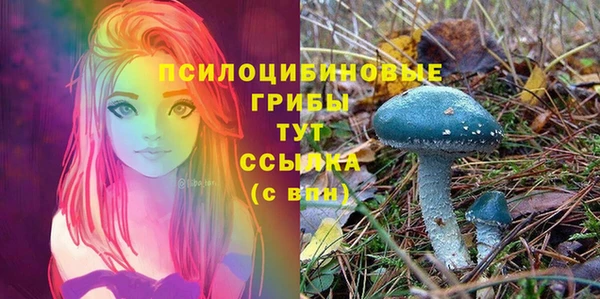 спиды Надым