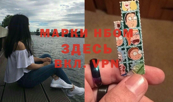 таблы Ельня