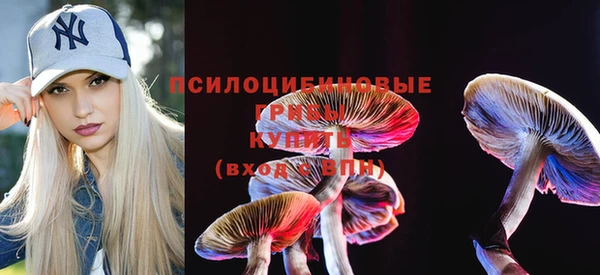 спиды Надым